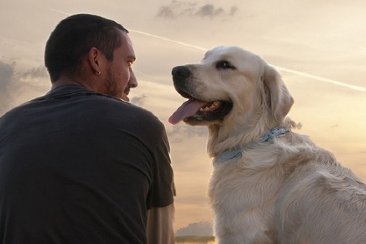 immagine La chiave del legame uomo-cane è nello sguardo