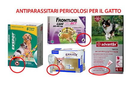 antiparassitari pericolosi per il gatto