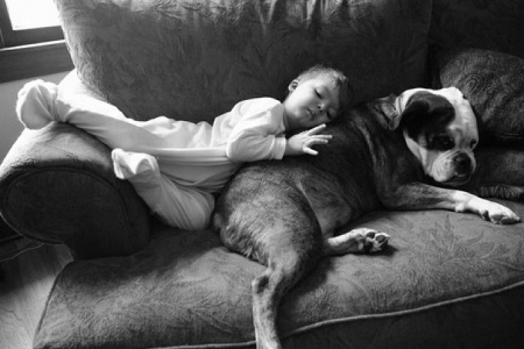 immagine-vivere-con-il-cane-aiuta-a-prevenire-l-asma