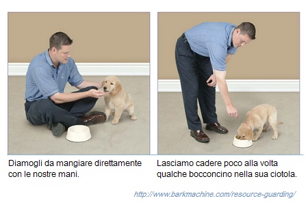 resource guarding cane ringhia morde ciotola cosa fare