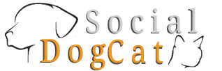 Socialdogcat